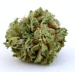 OG Kush