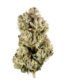 Gorilla Glue