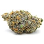 Mimosa