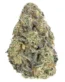 Miracle Alien Cookies