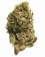 Sour Diesel